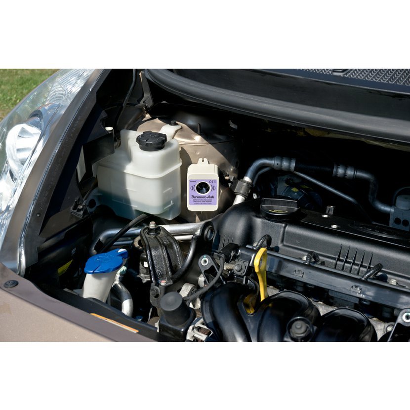 Deramax-Auto - Ultrazvukový plašič (odpudzovač) kún a hlodavcov 